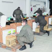 Bundesheer im Test-Einsatz