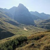 Gülle auf der Alpe bringt Aktivisten in Rage