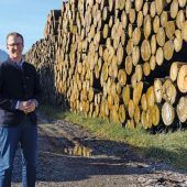 Holzmarkt erholt sich wieder