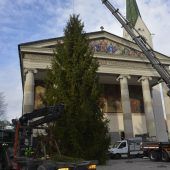18-Meter-Fichte für den Marktplatz