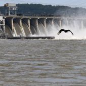 Strom aus Salz- ­und Süßwasser?