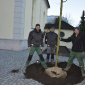Alte Kapelle, neue Bäume