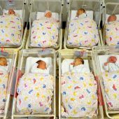 Babyboom in der Pandemie