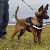 Vom Tierheim in den Polizeidienst
