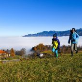 Eingenebelt im Advent