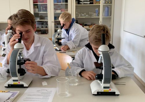 Der naturwissenschaftliche Zweig bereitet auf ein technisches oder medizinisches Studium vor. lcf