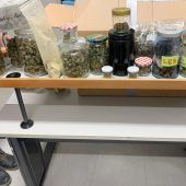 Student züchtet Cannabis in Wien