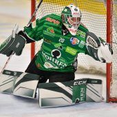 Felix Beck gesund und munter