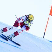 Ortlieb und Scheyer melden sich zurück