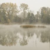 Das Ländle in Bildern