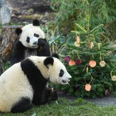 Bescherung im Zoo