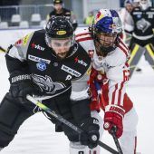 Bulldogs ohne Punkte
