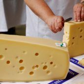 Corona und „Swiss Cheese Model“: Emmentaler-Verband skeptisch