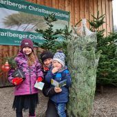 Über Christbäume lesen