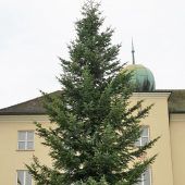 Lichterglanz in Hörbranz