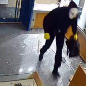 Wertvolle Beute bei Einbruch