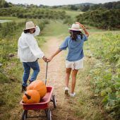 aha bietet online-Infostunde zu Workaway an