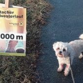 600 reelle Sportler bei virtuellem Silvesterlauf