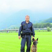 Supernasen auf der Erfolgsspur