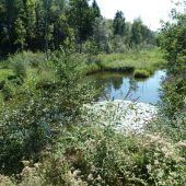 Land bewilligt Prämien für Biotope und Steilflächen