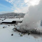 Feuerwehr rettet Pferde und Hühner aus den Flammen