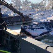 Ein Boot in Not: Feuerwehr Hard im Pumpeinsatz