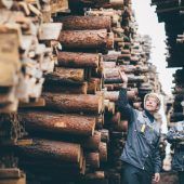 Holzindustrie setzt auf Zukunftsschwerpunkte