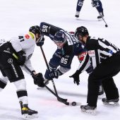 3:0-Erfolg der Bulldogs in Ungarn