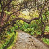 Stille Wanderwege auf der Blumeninsel