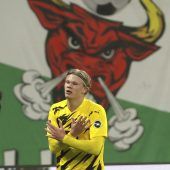 Heiland Haaland