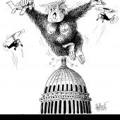 King Kong auf dem Kapitol!