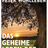 Den Wald verstehen als faszinierende Begegnung