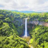 Naturschutz auf Mauritius