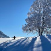 Spuren im Schnee