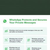 Neue Nutzungsrechte sorgen für Ärger: WhatsApp wehrt sich