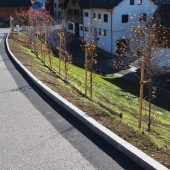 Stabilisierungsarbeiten für das Fraxner „Leck“