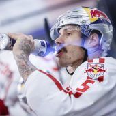 Stars wollen Teamsport-Comeback