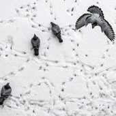 Bilder des Tages