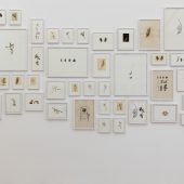 Erlesene Lithografien hängen an den Wänden der Galerie allerArt