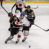 Den Bulldogs fehlte der Biss