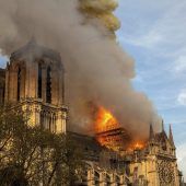 Passende Steine für Wiederaufbau von Notre-Dame gesucht