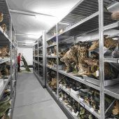 Inatura hegt gewaltige Sammlung