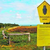 Sagenwanderung in der Braderuper Heide