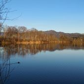 Die Natur in Bildern