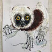 Animalisches von Tone Fink