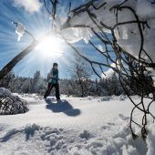 Vorarlberg taut auf