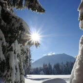 Wintergruß