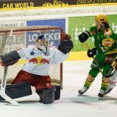 Löwen greifen nach dem Pokal