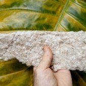 Ökologische Baustoffe – ein unterschätzter Faktor
