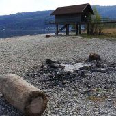 428 Anzeigen im Bregenzer Naturschutzgebiet